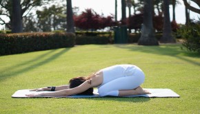 Private Yoga Instructor Santa Monica Los Angeles Mini Core Vinyasa