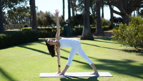 Private Yoga Santa Monica Los Angeles Brentwood Pacific Palisades Bel Air Venice Marina del Rey Summer Detox