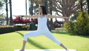 Warrior II Private Yoga Santa Monica Brentwood Pacific Palisades Bel Air Venice