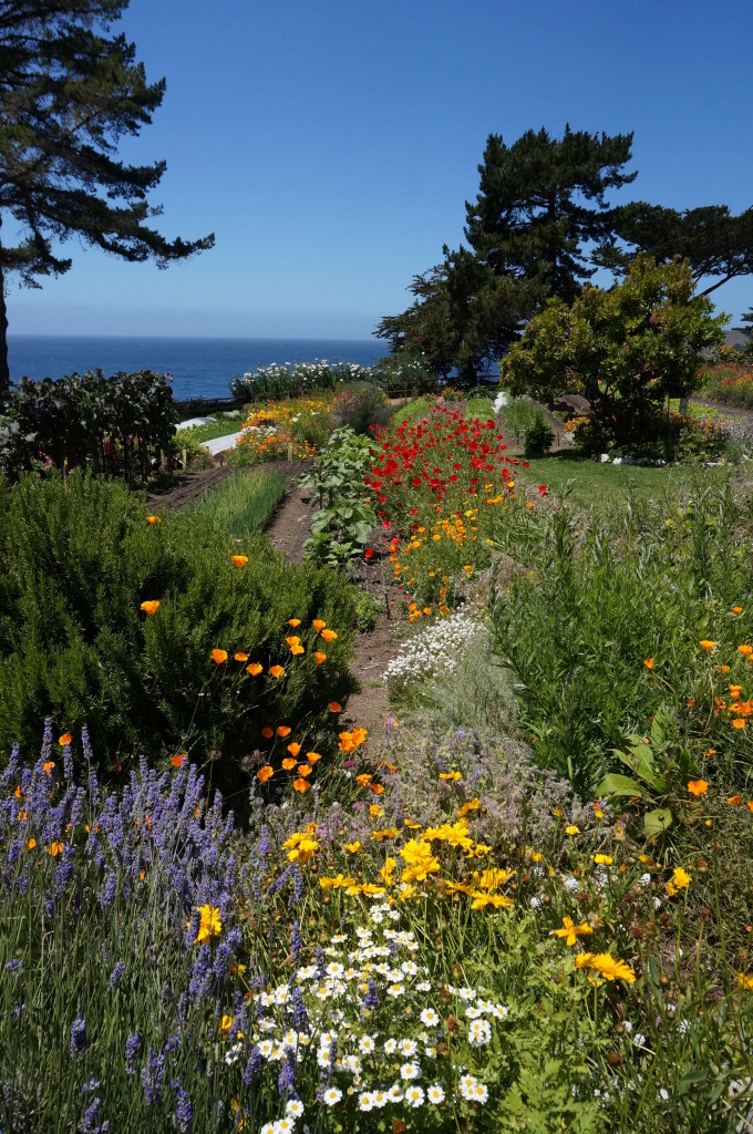 Private Meditation Lessons Catherine Tingey Los Angeles Santa Monica