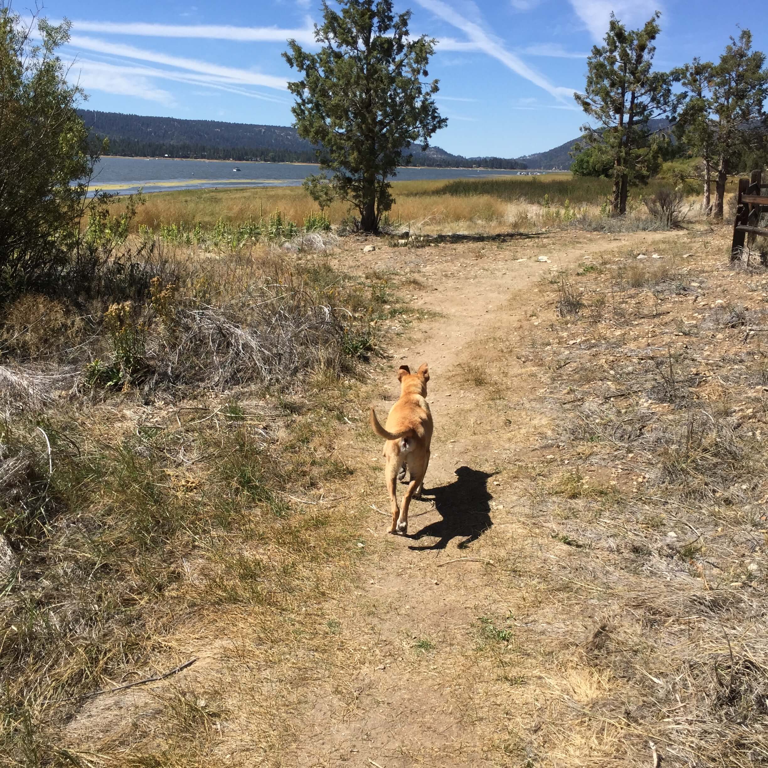 Private Yoga Instructor Catherine Tingey Los Angeles Santa Monica Brentwood