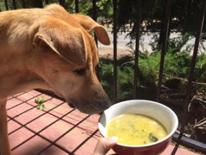 Private-Yoga-Santa-Monica-Kitchiri