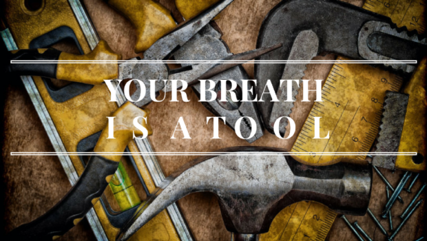 Your Breath is a Tool Private Yoga Santa Monica Brentwood Pacific Palisades Bel Air Venice