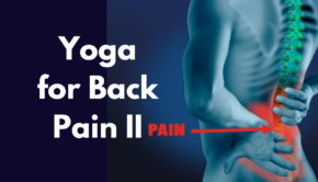 Yoga for Back Pain II Private Yoga Instructor Santa Monica Brentwood Los Angeles