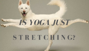Private Yoga Instructor Santa Monica Los Angeles Is Yoga Just Stretching