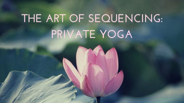 Private Yoga Instructor Santa Monica Los Angeles Sequencing a Private Yoga Sesssion