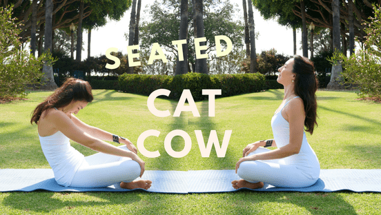 Private Yoga Instructor Los Angeles Santa Monica Brentwood Pacific Palisades Bel Air Venice Marina del Rey Seated Cat Cow