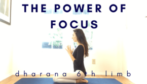 The Power of Focus Private Yoga Instructor Santa Monica Los Angeles Brentwood Pacific Palisades Bel Air Venice Marina del Rey