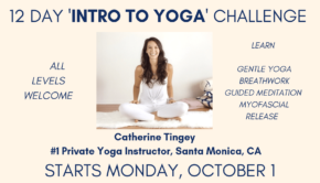 Private Yoga Instructor Los Angeles Santa Monica 12 Day Yoga Challenge
