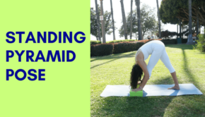 Private Yoga Instructor Los Angeles Santa Monica Standing Pyramid Pose