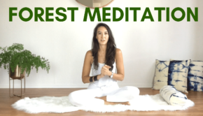 Private Yoga Instructor Los Angeles Santa Monica Forest Meditation