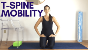 Private Yoga Instructor Los Angeles Santa Monica T Spine Mobility