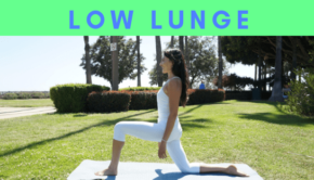 Private Yoga Instructor Los Angeles Santa Monica Low Lunge