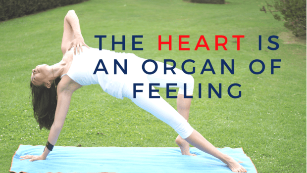 Private Yoga Instructor Santa Monica Los Angeles The Heart is an Organ of Feeling