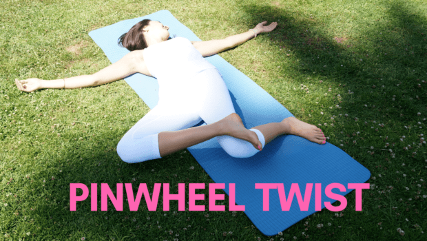 Private Yoga Instructor Santa Monica Los Angeles Pinwheel Twist