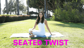 Private Yoga Instructor Los Angeles Santa Monica Seated Twist