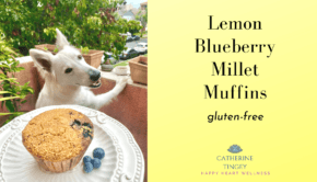 Private Yoga Instructor Los Angeles Santa Monica Lemon Blueberry Millet Muffins
