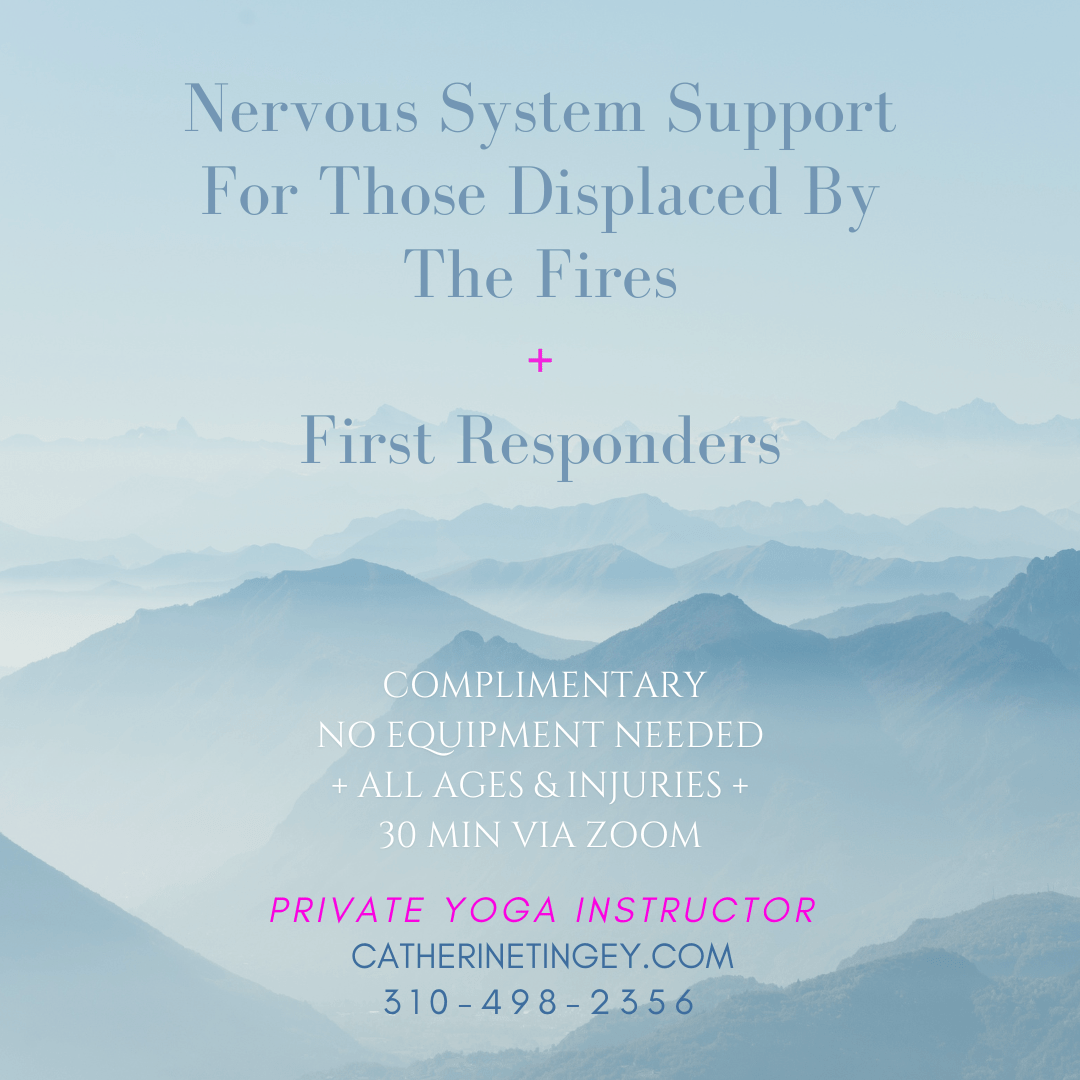 Private Yoga Instructor Santa Monica Los Angeles Nervous System Support Los Angeles Fires