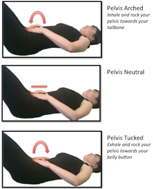 Private Yoga Instructor Santa Monica Los Angeles All About The Psoas Part 2