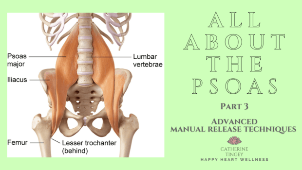 Private Yoga Instructor Santa Monica Los Angeles Catherine Tingey Yoga All About The Psoas Part 3