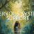 Private Yoga Instructor Santa Monica Los Angeles Catherine Tingey Yoga Nervous System Support