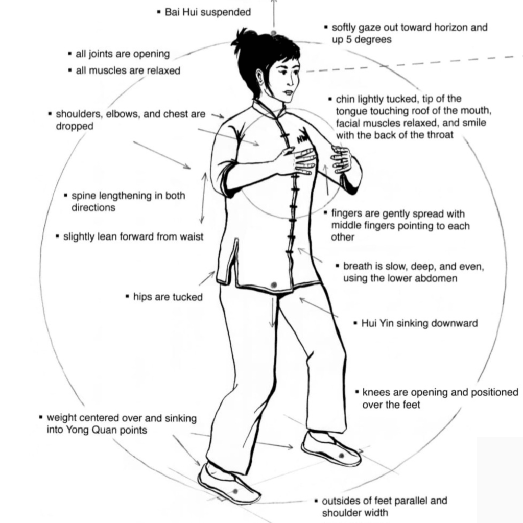 Private Yoga Instructor Santa Monica Los Angeles Catherine Tingey Yoga Nervous System Support