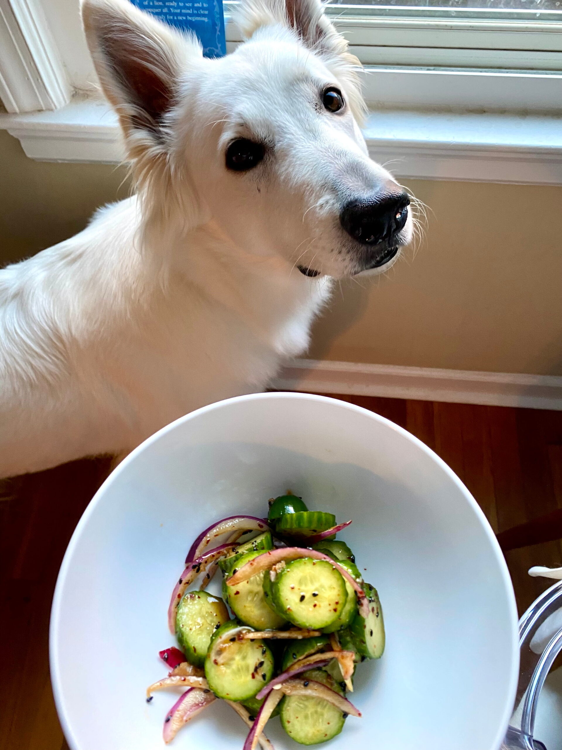 Private Yoga Instructor Santa Monica Los Angeles Korean Cucumber Salad