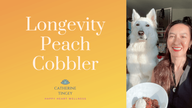 Private Yoga Instructor Santa Monica Los Angeles Longevity Cobbler Catherine Tingey