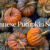 Private Yoga Instructor Santa Monica Los Angeles Japanese Pumpkin Soup Catherine Tingey